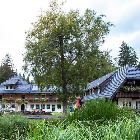 Kuckucksnester Menzenschwand Apartment Bagian luar foto